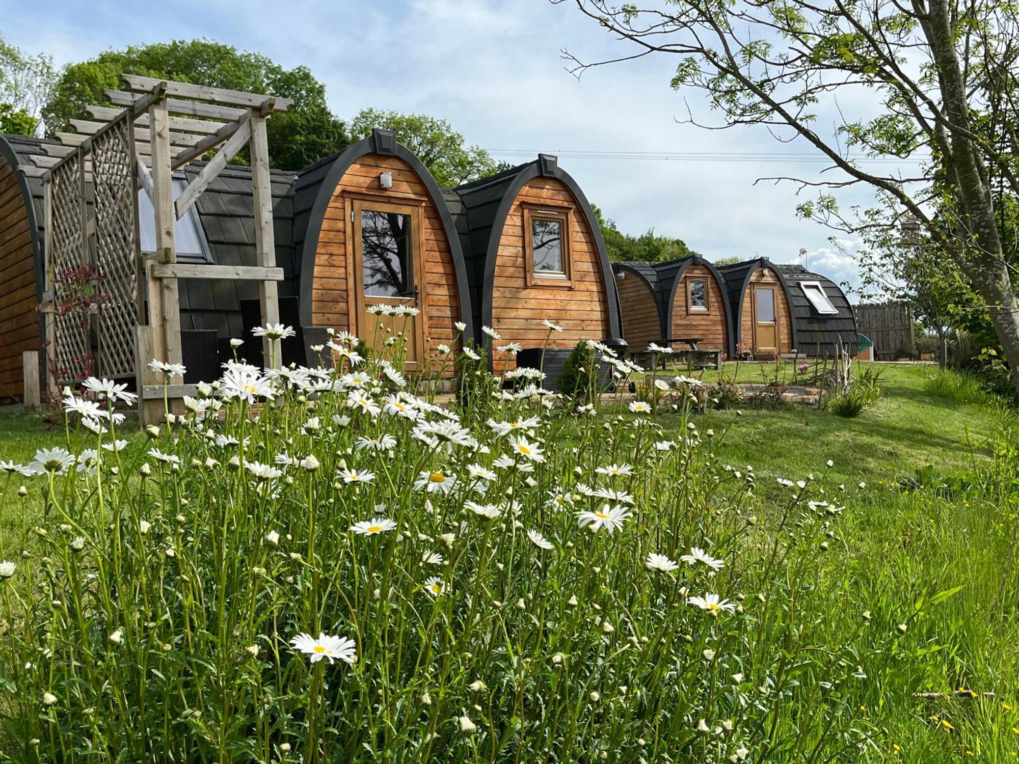 Hedgehog Glamping Pod School House Farm Campsite